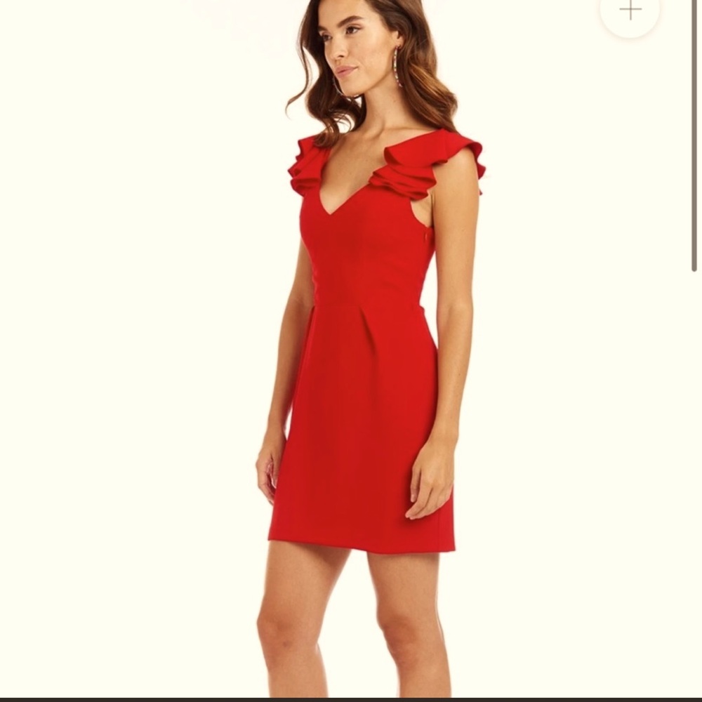 Amanda UpRichard dress